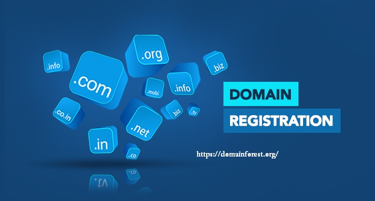 Importance of Domain Registration