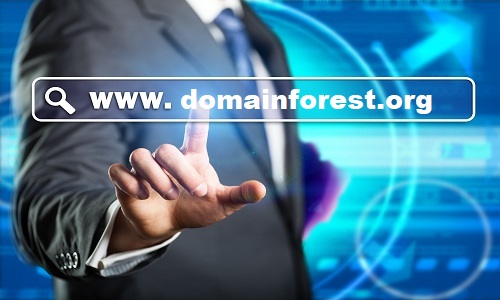 Why Domain Forest’s Domain Name?